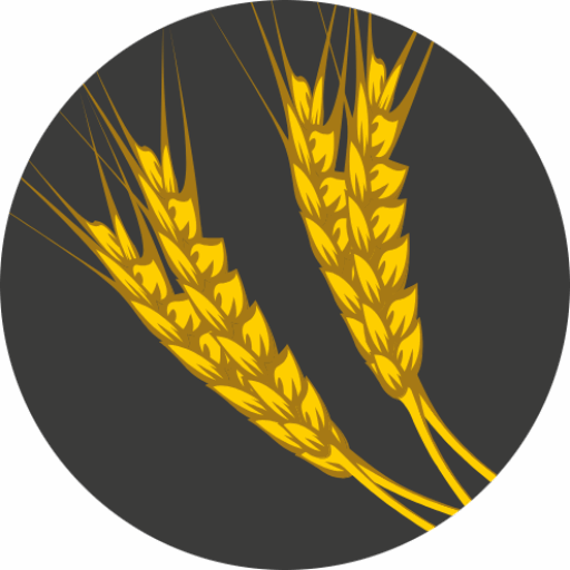 Graines d'entreprises